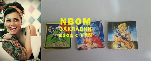 ПСИЛОЦИБИНОВЫЕ ГРИБЫ Северская