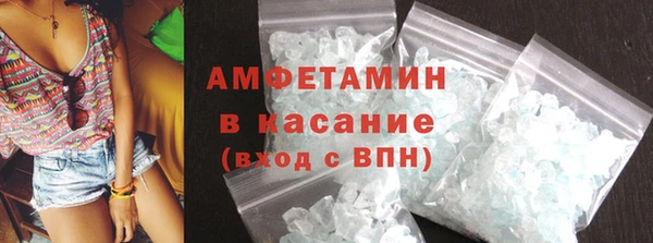 сатива Галич
