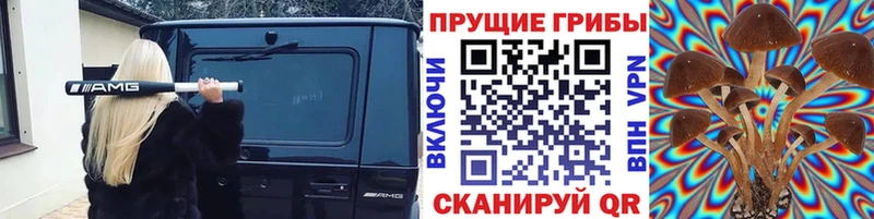 Псилоцибиновые грибы мицелий  Кукмор 
